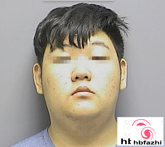 18岁中国留学生在美国下载儿童色情影片获刑10年
