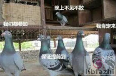 抱歉，有钱是真的能为所欲为的