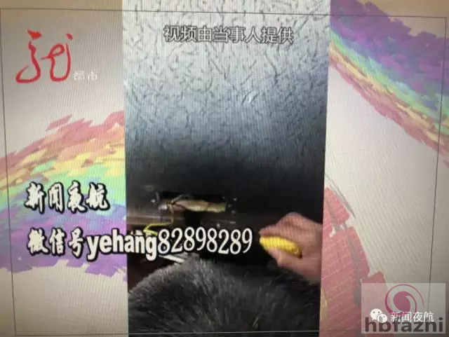 情侣入住宾馆发现摄像头 负责人:给500闭嘴行不?