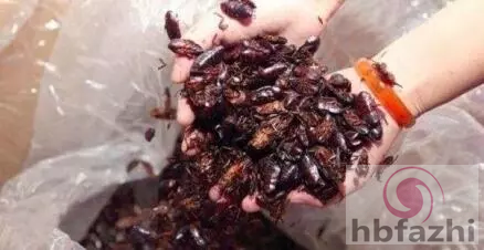 女子凌晨接电话听筒传哭嚎声 随后诡异的事发生了