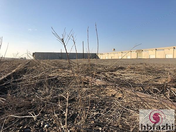 贾跃亭美国造车工厂没任何生产设备 仅一员工打卡