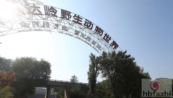 老虎伤人案死者家属:见老虎镜头就换台 恨它牙痒痒