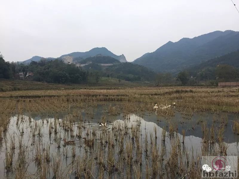 13岁少年弑母后表现平静还玩手游 网名让人胆寒