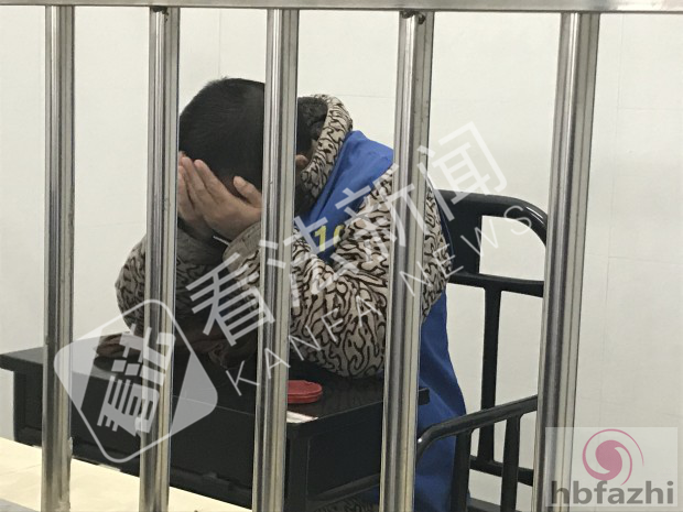 男子捅孕妇10余刀致其身亡 被抓后称她辱骂我母亲