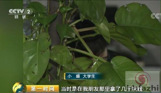 大学生借校园贷欠下30万 有平台年利率达2000%