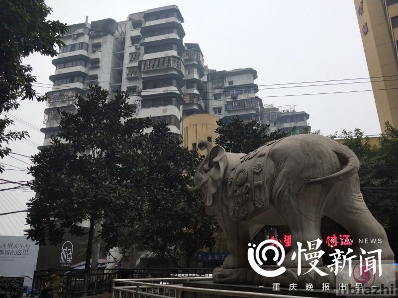 24层无电梯高楼成网红 每天十几拨人来看稀奇