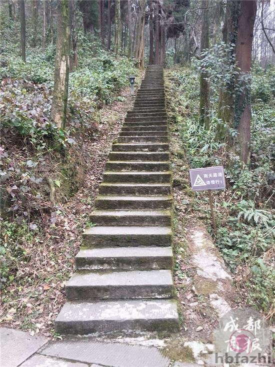 成都商报客户端记者 祝浩杰